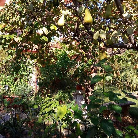 Villa Corrias Siliqua Bagian luar foto